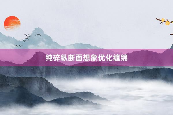 纯碎纵断面想象优化缠绵
