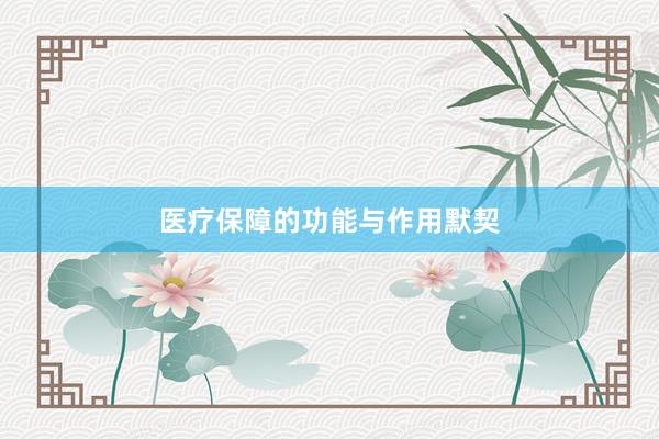 医疗保障的功能与作用默契