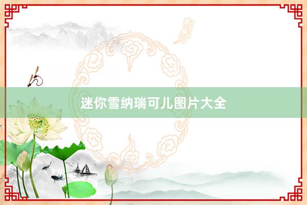 迷你雪纳瑞可儿图片大全