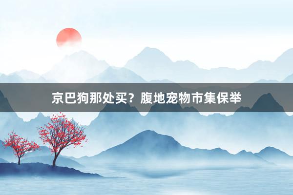 京巴狗那处买?腹地宠物市集保举