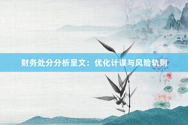 财务处分分析呈文：优化计谋与风险轨则